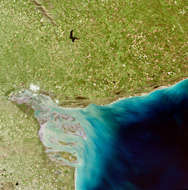 Bahia Blanca