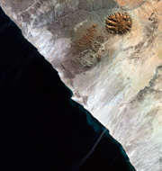 Brandberg