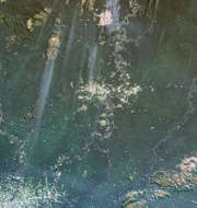 Chiribiquete