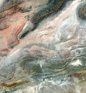 Ischigualasto
