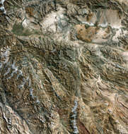 Kabul