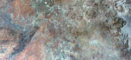 Karoo