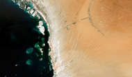 Liwa Oasis