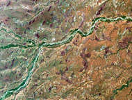 Llanos