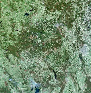 Minsk