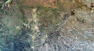 Miombo