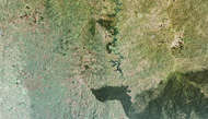 Misiones Forest