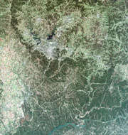 Near Nashville
