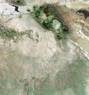 Ngorongoro