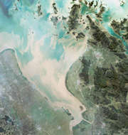 Ningbo