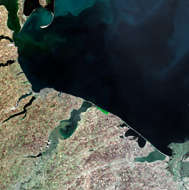 Odessa