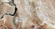 Palmyra