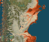 Patagonian Stem