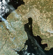 Saint Petersburg