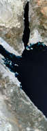 Sinai