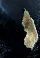 Socotra