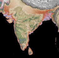 Subcontinent
