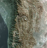 Tehran