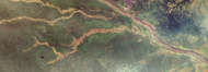 Ubangi River