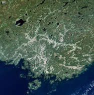 Vaasa