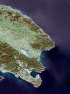 Wellington