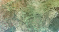 Yei and the Forest’s Edge